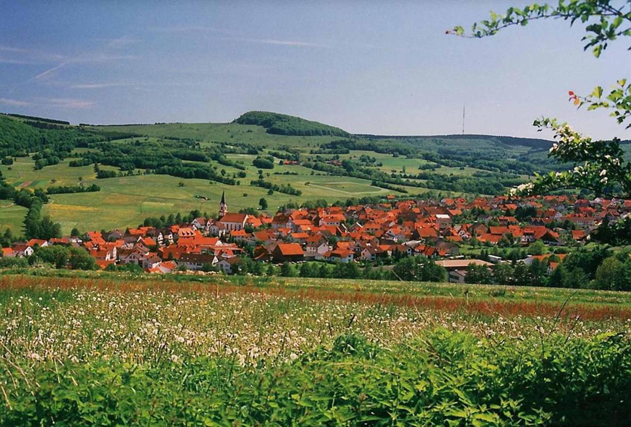 Rhoener Landhotel Haus Zur Wasserkuppe Ehrenberg  Eksteriør bilde