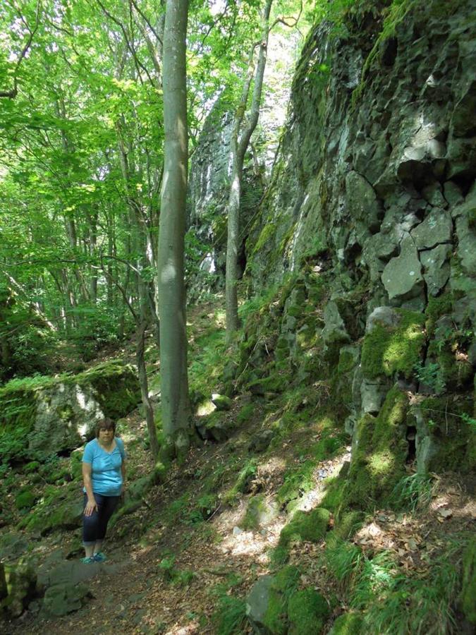 Rhoener Landhotel Haus Zur Wasserkuppe Ehrenberg  Eksteriør bilde